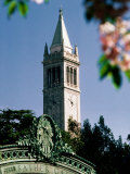 Buy University of California, the Campanile, Alamada County, Berkeley, California at AllPosters.com