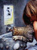 Buy Girl Helping Cat at Cat Fountain, Positano, Campania, Italy at AllPosters.com