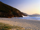 Buy Early Morning at Box Beach, Tomaree National Park, Port Stephens, New South Wales, Australia at AllPosters.com
