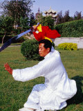 Buy Martial Arts Master Practising Routine in Xihai Park in Tongzhou, Beijing, China at AllPosters.com