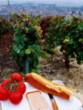 Tomatoes, Pate and Baguette Picnic in Vineyard, Epernay, Champagne-Ardenne, France