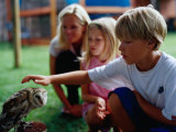 Buy Boy Patting an Owl at the Spier Wildlife Shelter, Cape Town, Western Cape, South Africa at AllPosters.com