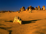 Buy Late Afternoon Light on Limestone Pillars in Pinnacles Desert, Western Australia at AllPosters.com