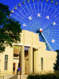 Buy Dallas Museum of Natural History at Fair Park, Dallas, Texas at AllPosters.com
