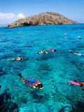Buy Snorkelers with Island in Background, St. Croix, Virgin Islands at AllPosters.com