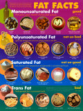Fat Facts