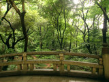 Bridge and Garden at Yoyogi-Koen, Tokyo, Kanto, Japan