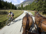 Buy Cyclist Crossing Path of Horse-Drawn Carriage Near Pontresina, Pontresina, Graubunden, Switzerland at AllPosters.com