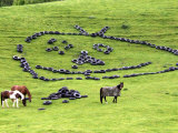 Buy Tires Arranged into Martian Face on Farmland Near Raglan, New Zealand at AllPosters.com