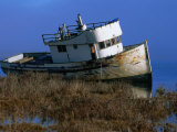 Buy Wreck of the Point Reyes in Tomales Bay, California at AllPosters.com