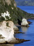 Buy Early Morning Towards Cathedral Cove, Coromandel Peninsula, New Zealand at AllPosters.com