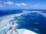 Buy Coral Reef, Torres Strait Islands, Torres Strait Islands, Queensland, Australia at AllPosters.com