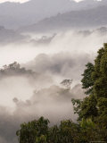 Buy Mist Rising from Forest Floor, Nyungwe Forest National Park, Gisenyi, Rwanda at AllPosters.com