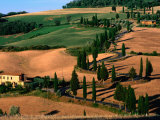 Cypress-Lined Montichiello Road, So of Pienza, Val d'Orcia, Tuscany, Italy
