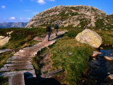 Hikers on Trail to Kjeragbolten Above Kysefjord, Lysefjord, Rogaland, Norway