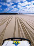 4WD and Tracks on Beach, Queensland, Australia