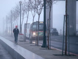 Buy Embarcadero Early in the Morning Fog, San Francisco, California at AllPosters.com