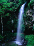Buy Crystal Shower Falls on the Wonga Walk Trail in Dorrigo National Park, New South Wales, Australia at AllPosters.com