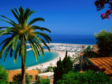 Buy Beach and Town from Hill with Palm Tree in Foreground, Menton, Provence-Alpes-Cote d'Azur, France at AllPosters.com