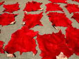 Buy Detail of Drying Leather, Marrakesh, Marrakesh, Morocco at AllPosters.com