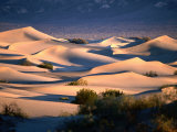Buy Stovepipe Wells Dunes, Death Valley National Park, California at AllPosters.com