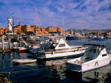 Boats Moored in Marina, Cabo San Lucas, Baja California Sur, Mexico
