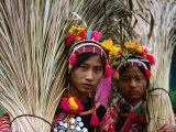 Two Ethnic Ha Nhi Co Cho Girls Carrying Rice Stalks, Muong Tei, Lai Chau, Vietnam