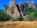 Buy Limestone Towers on Walking Trail from Donna Cave to Royal Arch Cave, Queensland, Australia at AllPosters.com