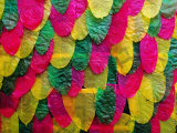 Buy Celebrating Rice, Philippines at AllPosters.com
