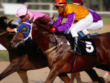 Buy Horse Racing at Saigon Racing Club District 11, Ho Chi Minh City,  Vietnam at AllPosters.com