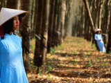 Students in Rubber Plantation in Central Vietnam, Play Ku, Gia Lai, Vietnam