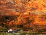 Buy Baysbrown Farm and Slopes of Ligmoor Fell at Great Langdale, England at AllPosters.com