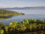 Crops Cultivated on Shores of Lake, Lake Kivu, Gisenyi, Rwanda