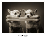 Buy Pip and Squeak at AllPosters.com