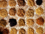 Buy Researching Rice, Philippines at AllPosters.com