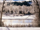 Gross Ventre River Surrounded by Snow and Trees, Grand Teton National Park, Wyoming