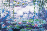 Water Lilies Art Print