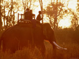 Buy Eco-Tourists Riding Elephant, Royal Chitwan National Park, Narayani, Nepal at AllPosters.com