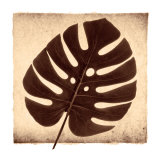 Buy Monstera I at AllPosters.com