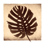 Buy Monstera II at AllPosters.com