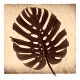 Buy Monstera II at AllPosters.com