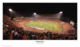 Bowden Bowl IX