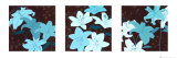 Buy Triptych at AllPosters.com