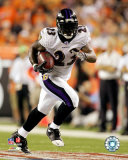 Willis McGahee