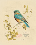 Gilded Songbird IV