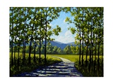 Summer Path