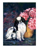 Japanese Chin and Hydrangeas