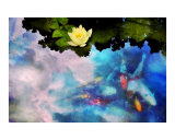 Buy Evening reflections at AllPosters.com