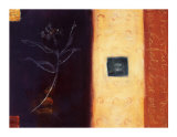Feng Shui I