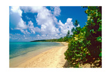 Buy Seven Seas Beach, Fajardo, Puerto Rico at AllPosters.com